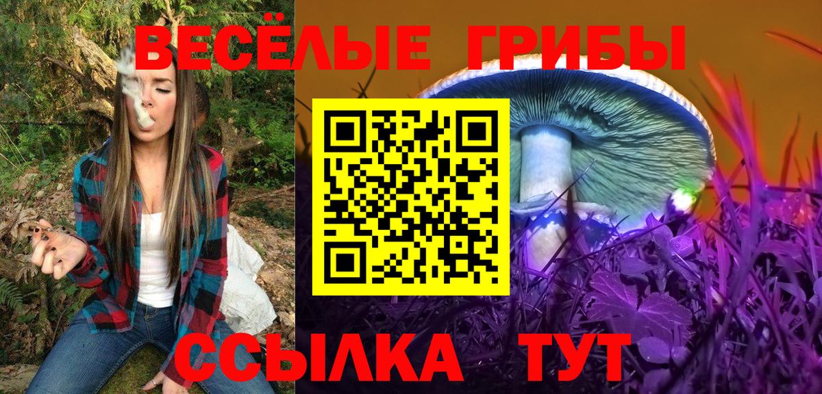 Псилоцибиновые грибы GOLDEN TEACHER Канск
