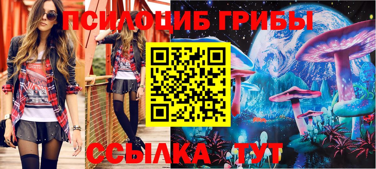Галлюциногенные грибы GOLDEN TEACHER  Вход с VPN  где можно купить наркотик  Канск 